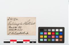 Etiketten zu Bronzeknopf (NHMW-PRAE-024124)
